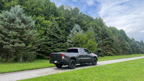 2019-2023 Ram 1500 Pike Rear Bumper Fishbone Offroad